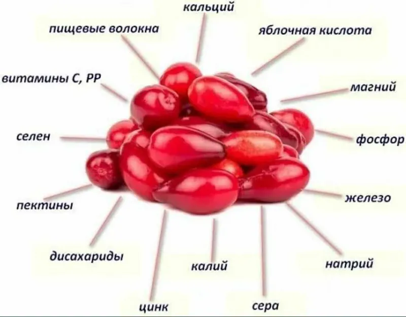 Кизил заморозка, вкусно и полезно. — фото 1