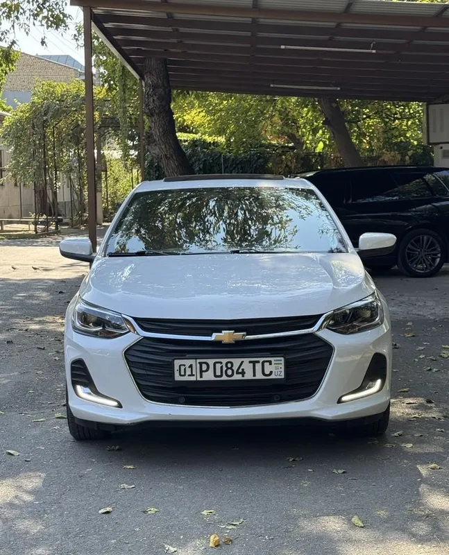 Onix Premier Plus 2 Onix Premier Plus 2