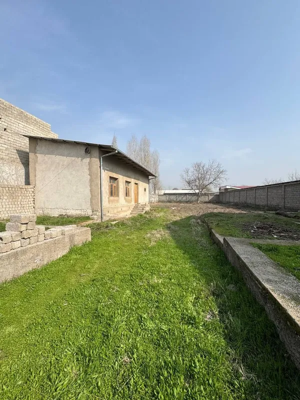 Azonga yer bor kotta yo'lga yaqin joyda — фото 2
