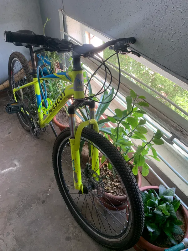 Velosiped mascot 2