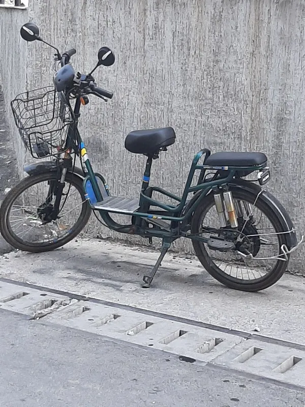 Elektro velosiped 2 Elektro velosiped 2