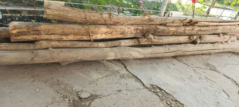 Тусин 7та сотилади