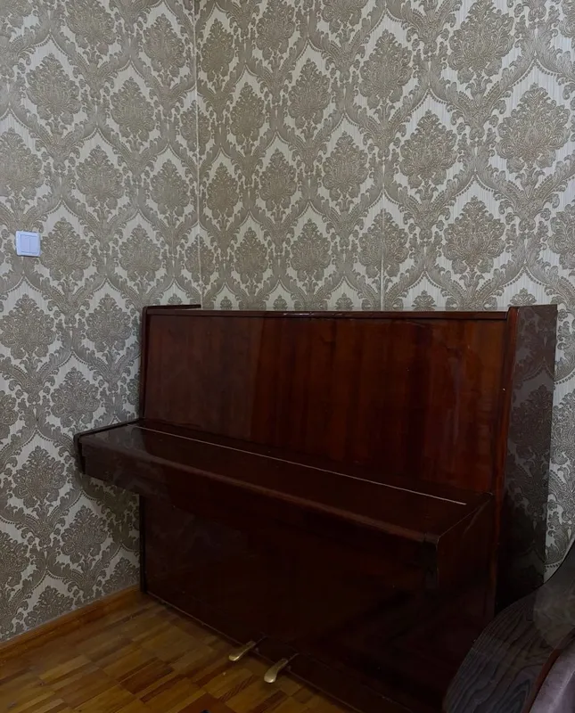 «Belarus» pianinosi sotiladi 4