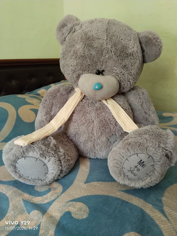 Teddy ayiq 1