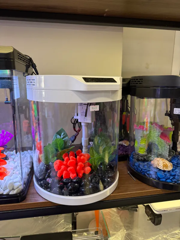 Akvarium mini 11 litr premium 3 Akvarium mini 11 litr premium 3