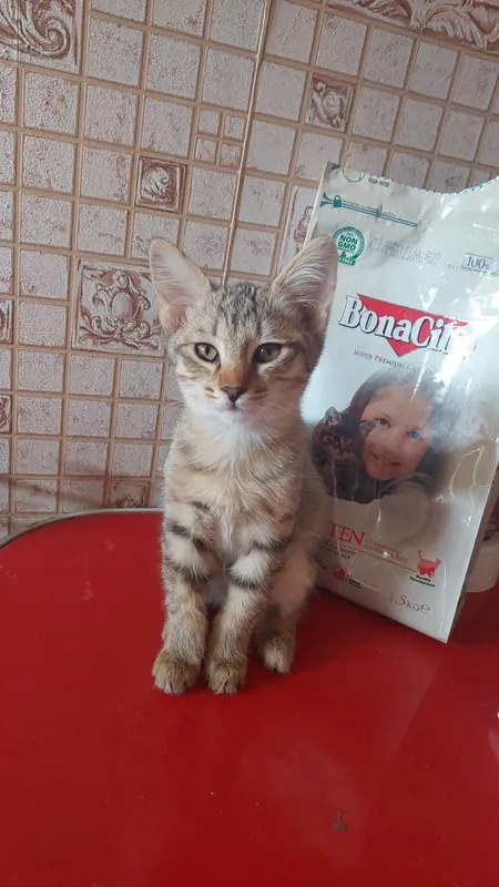 Xadiya