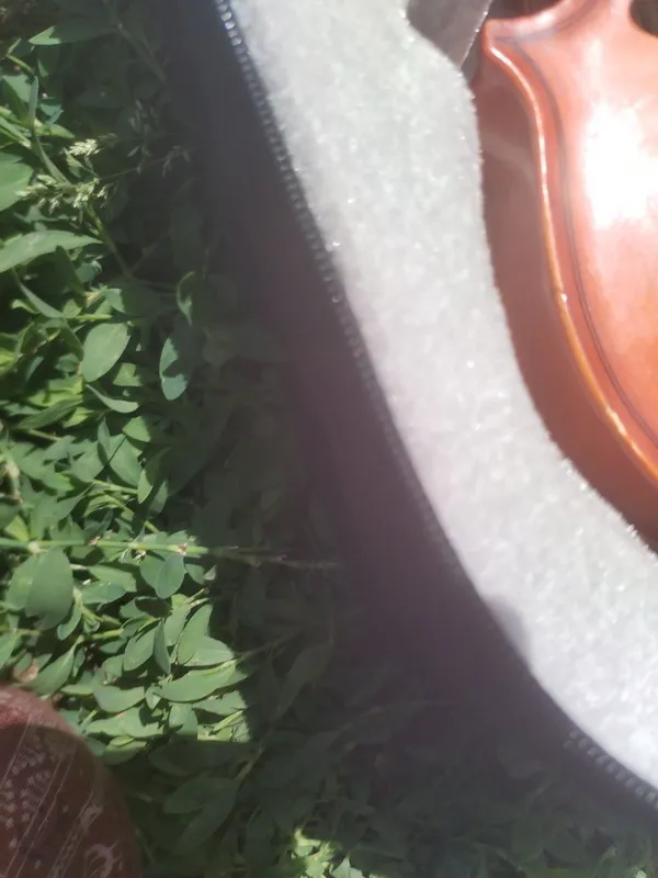 Продам скрипка комплект — фото 2