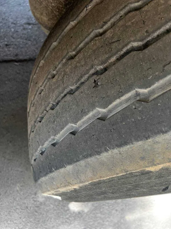 Daf Evro 6 XF 460 Krone Termoring slx 300 88 kub — фото 6