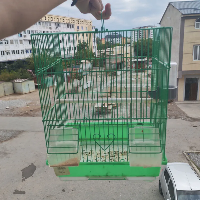 Xonaki qushlar uchun qafas. Gnezdosiyam bor 2