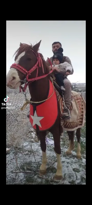 Ot sotiladi Mustang narx 30million qogan telda gaplawiladi — фото 2