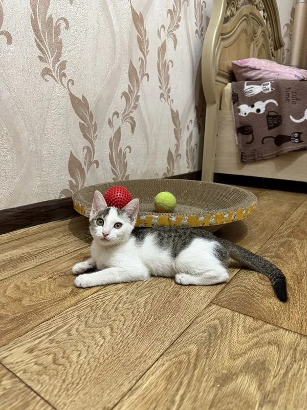 Девочка в любящие руки! 3 Девочка в любящие руки! 3