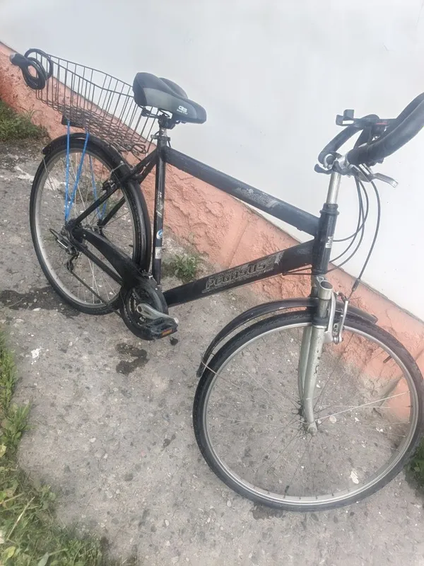 German velik yurip turgan German velik yurip turgan