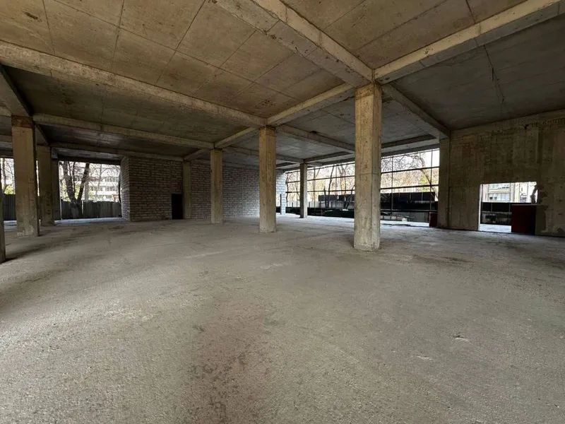 Шота Руставели Парк Бобура | 1500кв - нежилое помещение вдоль дороги П — фото 6