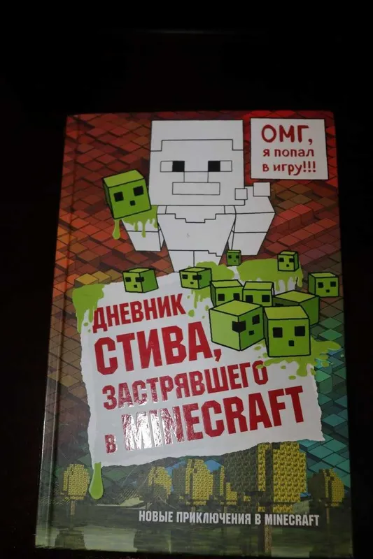 Книга Minecraft, Дневник Стива Майнкрафт