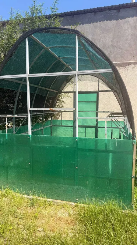 Теплица Парник Issiqxona 1 Теплица Парник Issiqxona 1