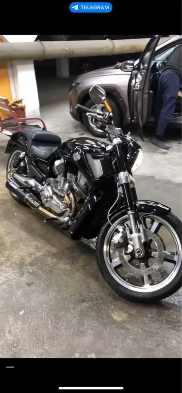Harley Davidson V-ROD Muscle срочно — фото 2