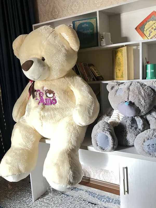 180 kotta ayiq va Teddy ayiq yangi sotiladi