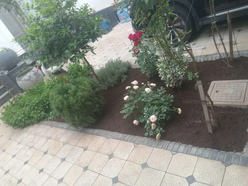 Садовник богбон Уборщик тозаловчи Обработка дориловчи — фото 1