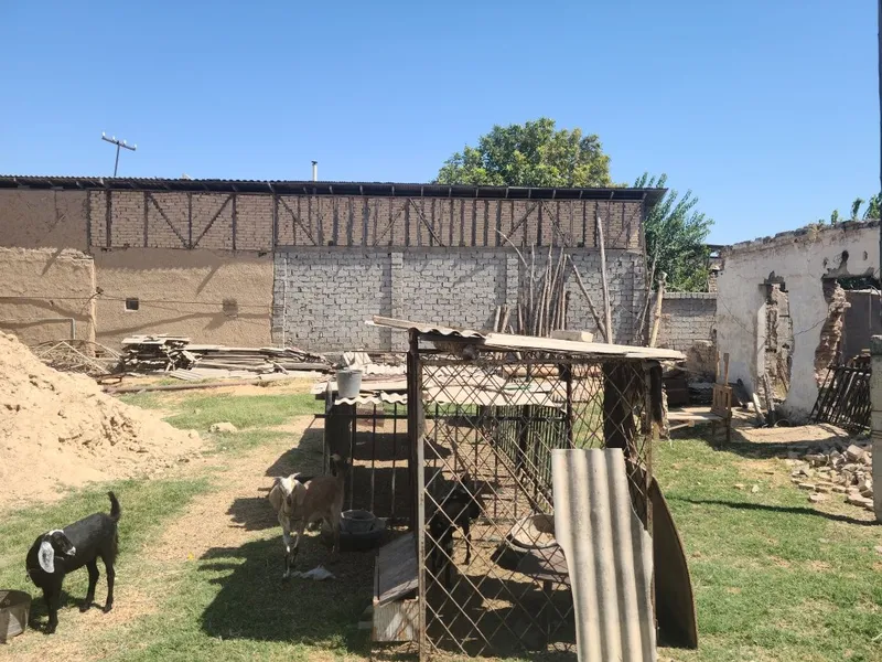 Yer sotiladi , Turkiston , 1 sotikdan 6 sotikgacha — фото 2