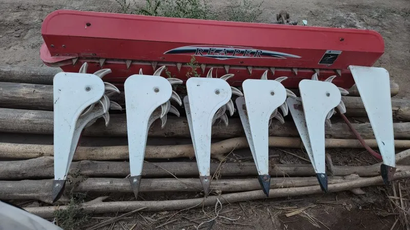 Gʼovush oʼradigan Jatka 1 Gʼovush oʼradigan Jatka 1