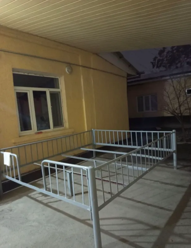 Тапчанка железная