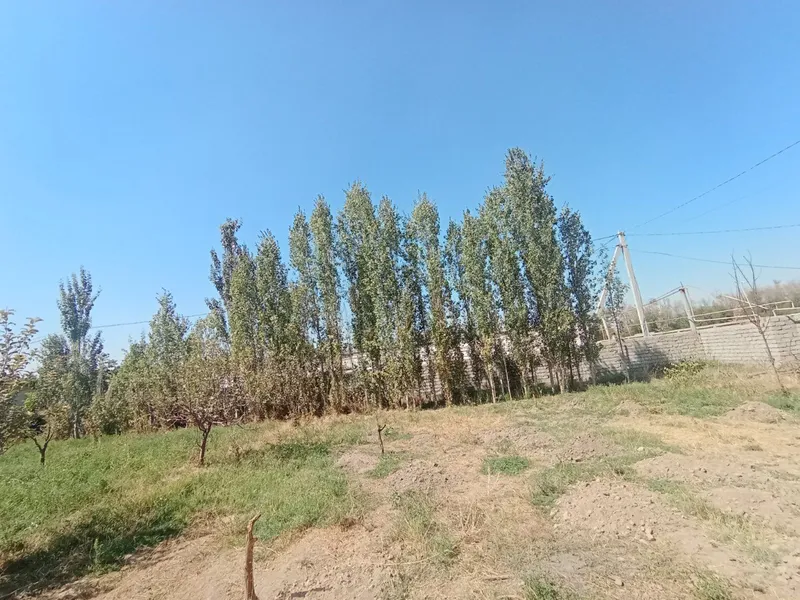 Участок 6 соток 4