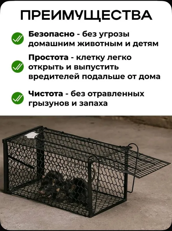 Мышеловка крысоловка гуманная