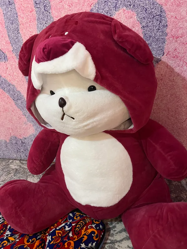 Teddy 2