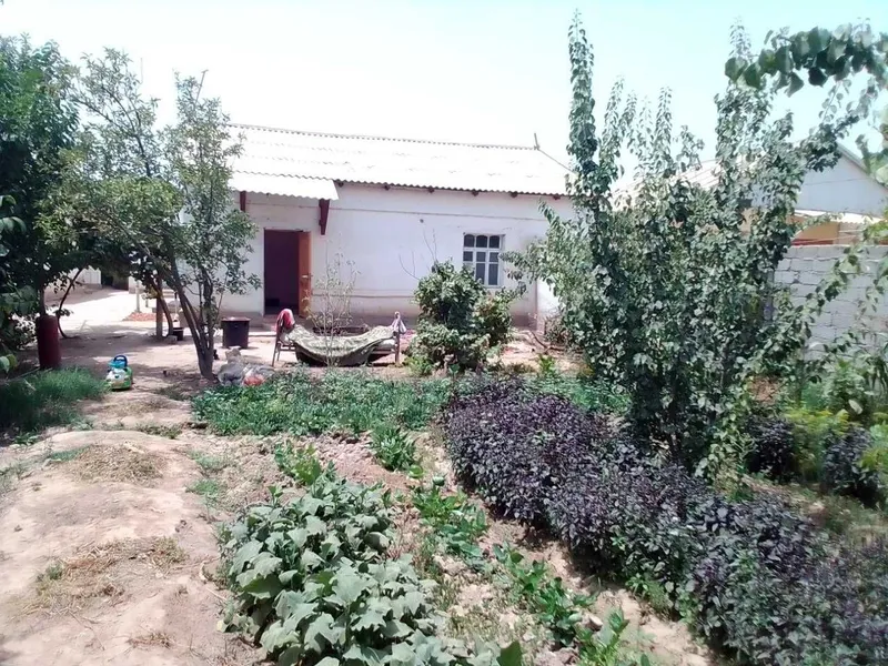 Продаётся двор (частный дом) 1 Продаётся двор (частный дом) 1