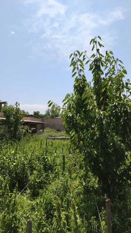 Продается большой дом — фото 3
