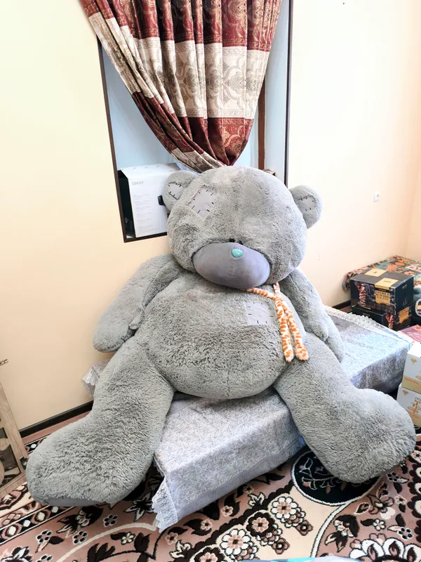 Teddy ayiq eng kattasi