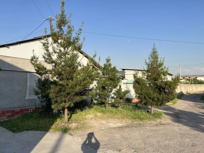 Srochno yer sotiladi! Yer narxida hovli-joyi — фото 6
