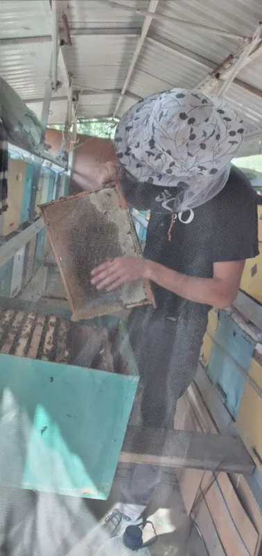 Продам пчелоприцеп — фото 1