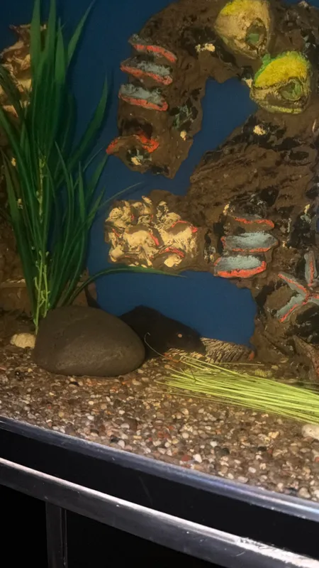 AKVARIUM 4