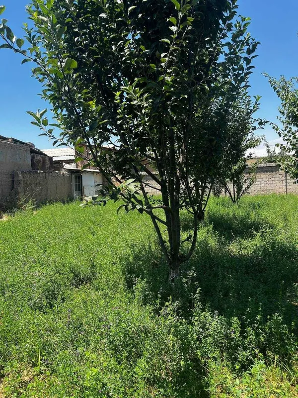 Назарбекда ётиш учун жой! 5 кишилик янги хоналар, енг арзон хостел 8 Назарбекда ётиш учун жой! 5 кишилик янги хоналар, енг арзон хостел 8