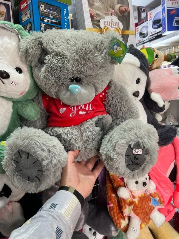 Tedi miyahki oncha