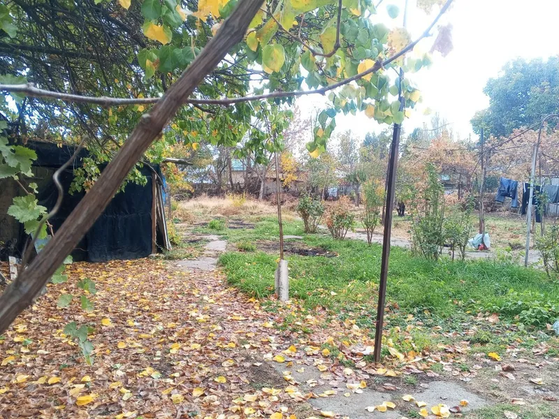 Продаётся дом с большим участком в посёлке Таваксай — фото 1