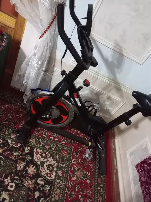 damashniy veloseped