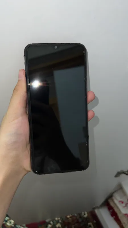 vivo 2 vivo 2