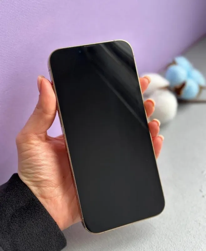 iPhone 12 ProMax 256Gb Gold Akk: 85% Договоримся 4