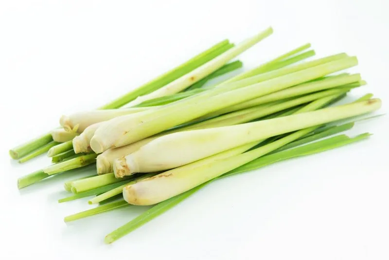 Lemongrass / Лемонграсс