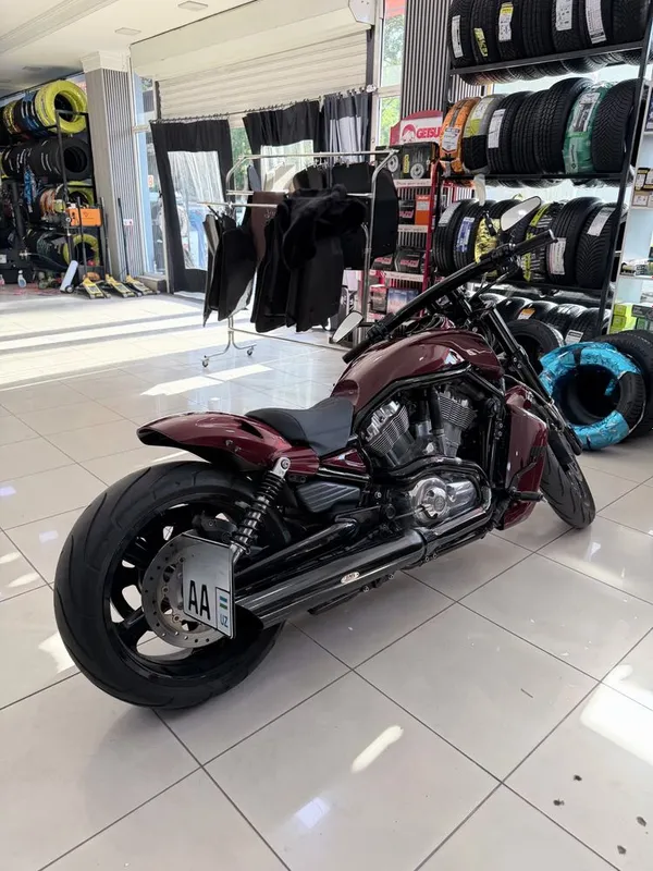 Harley-Davidson V-Rod Muscle 2015 6