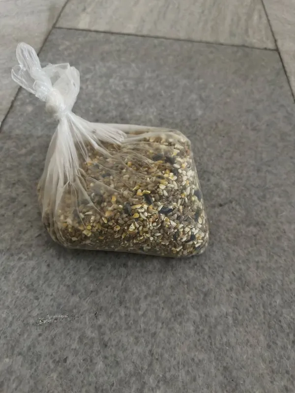 Продаю сирийского хомяка (самка) с комплектом. 4 Продаю сирийского хомяка (самка) с комплектом. 4