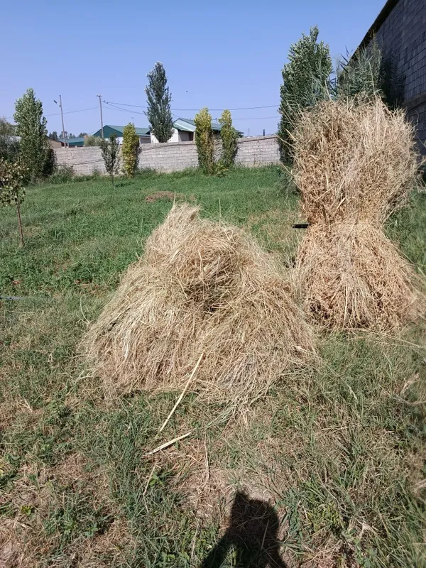 Beda srochni sotiladi 3