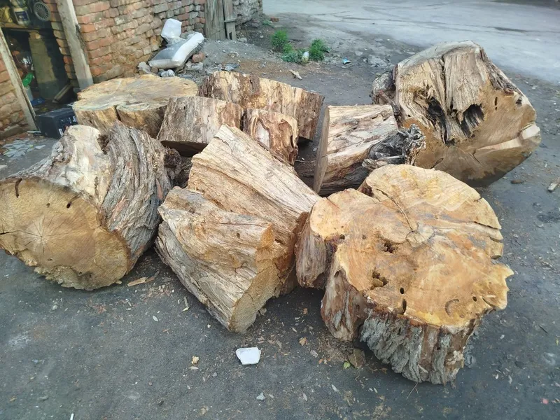 UTINLAR SOTADI