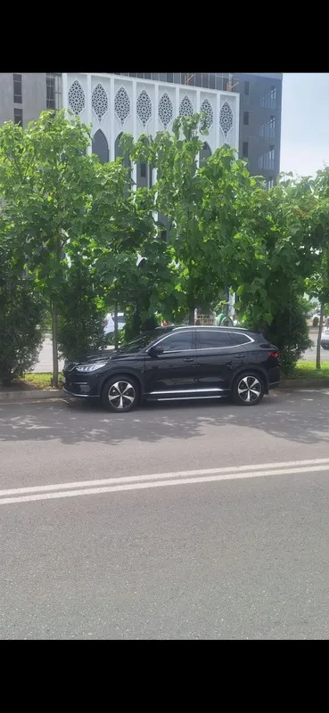 Авто электро byd