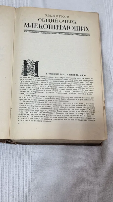 Книга Энциклопедия 5 Книга Энциклопедия 5