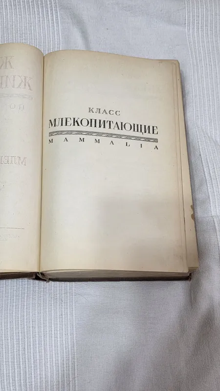Книга Энциклопедия 2 Книга Энциклопедия 2
