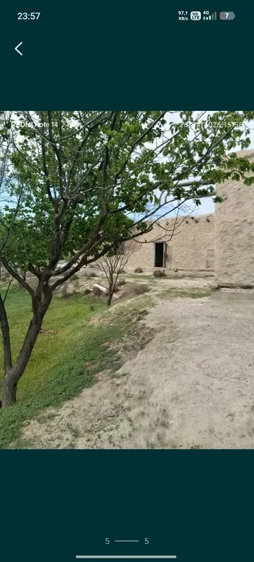 Uy sotiladi Buxoro viloyat Shofirkon tumani Gulistonqishlogʻida32sotix 5 Uy sotiladi Buxoro viloyat Shofirkon tumani Gulistonqishlogʻida32sotix 5