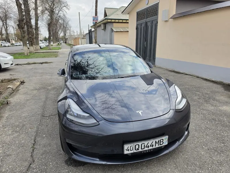 Tesla Model 3 Standard Plus — фото 1